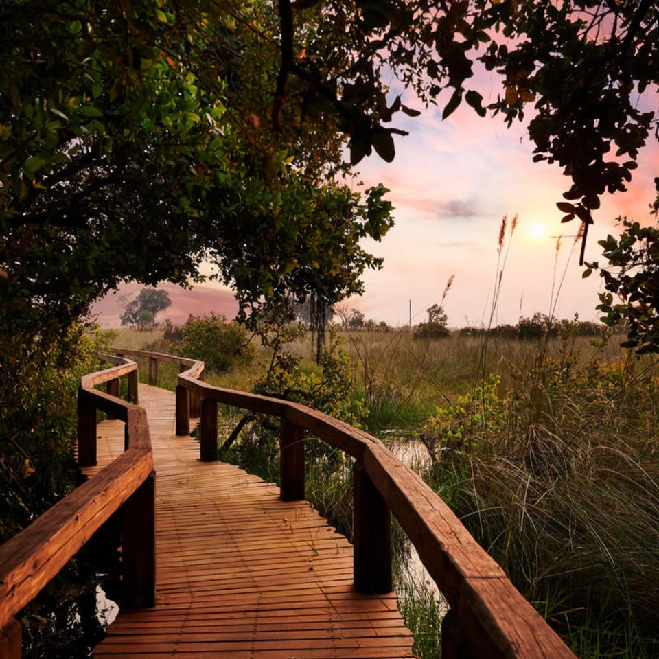 Camp Okavango